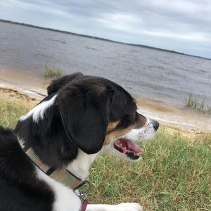 Meet your Posher, Emma